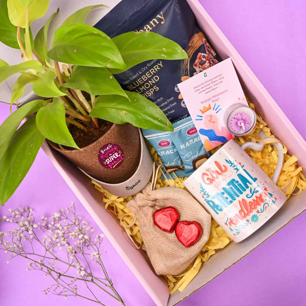 Philodendron Ceylon Indulgence Women's Day Gift