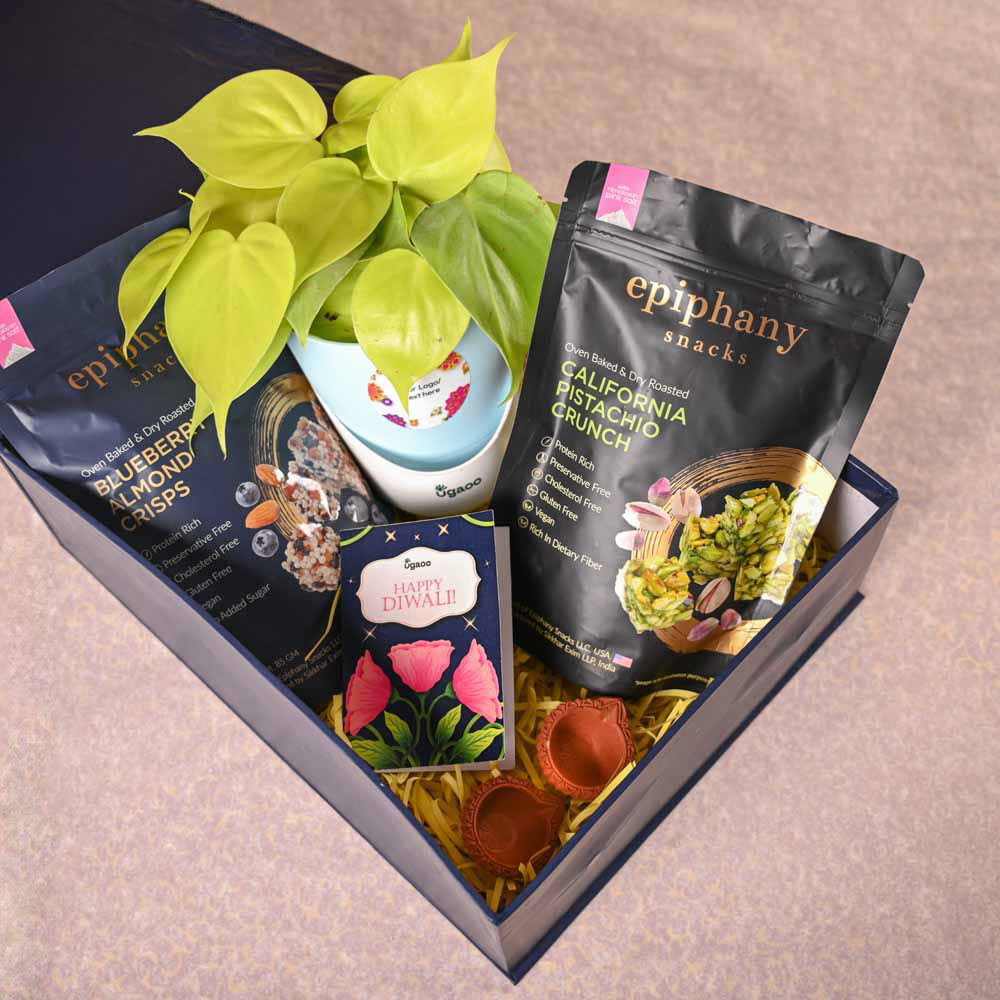 Philodendron Oxycardium Golden Plant & Epiphany Snacks Diwali Gift Hamper