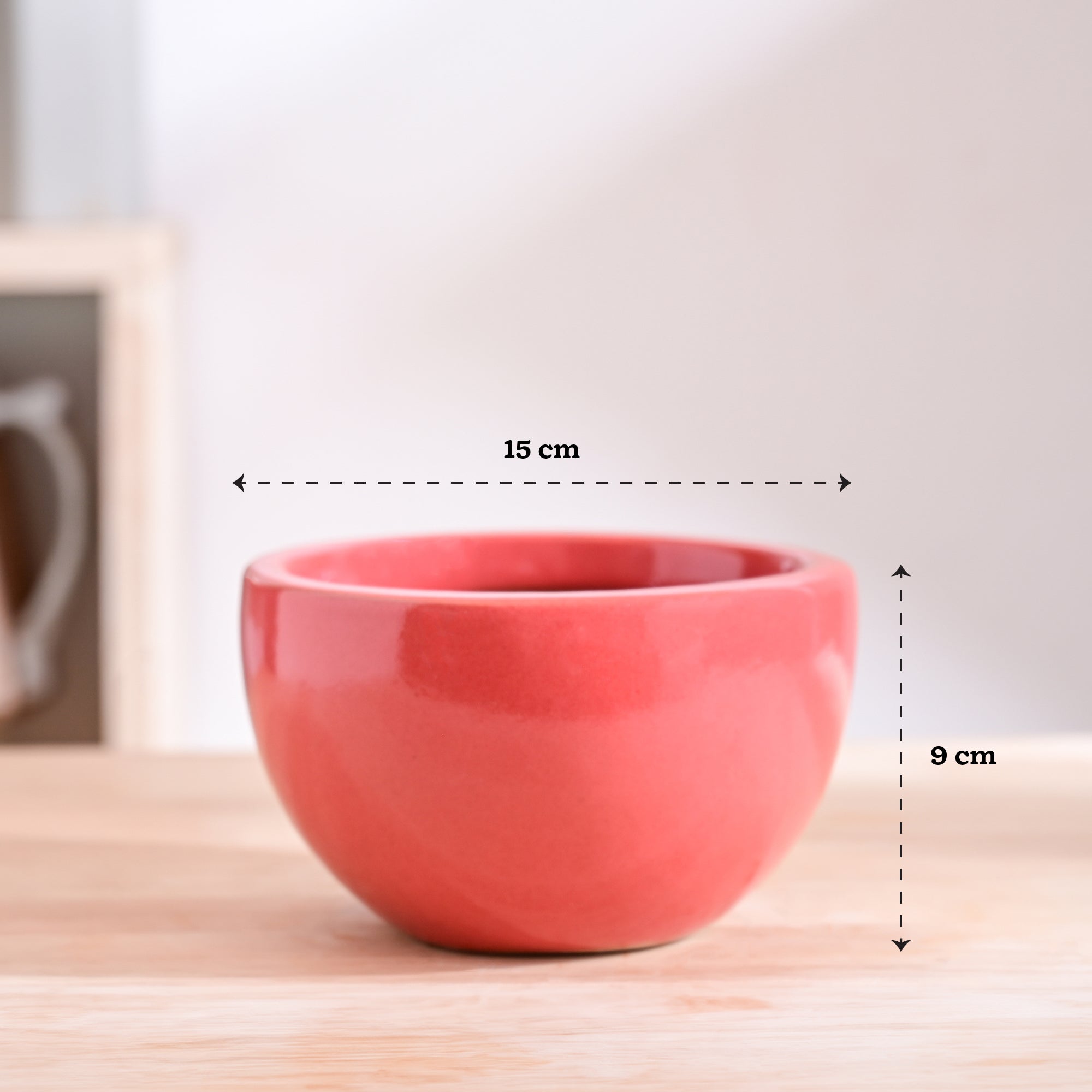 Nature's Hum Fat Ceramic Planter