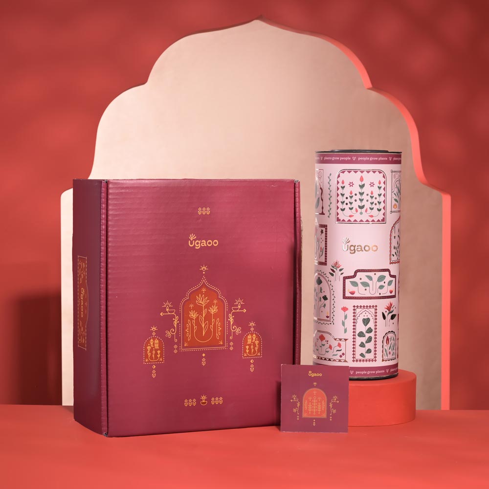 Good Vibes Diwali Gift Hamper