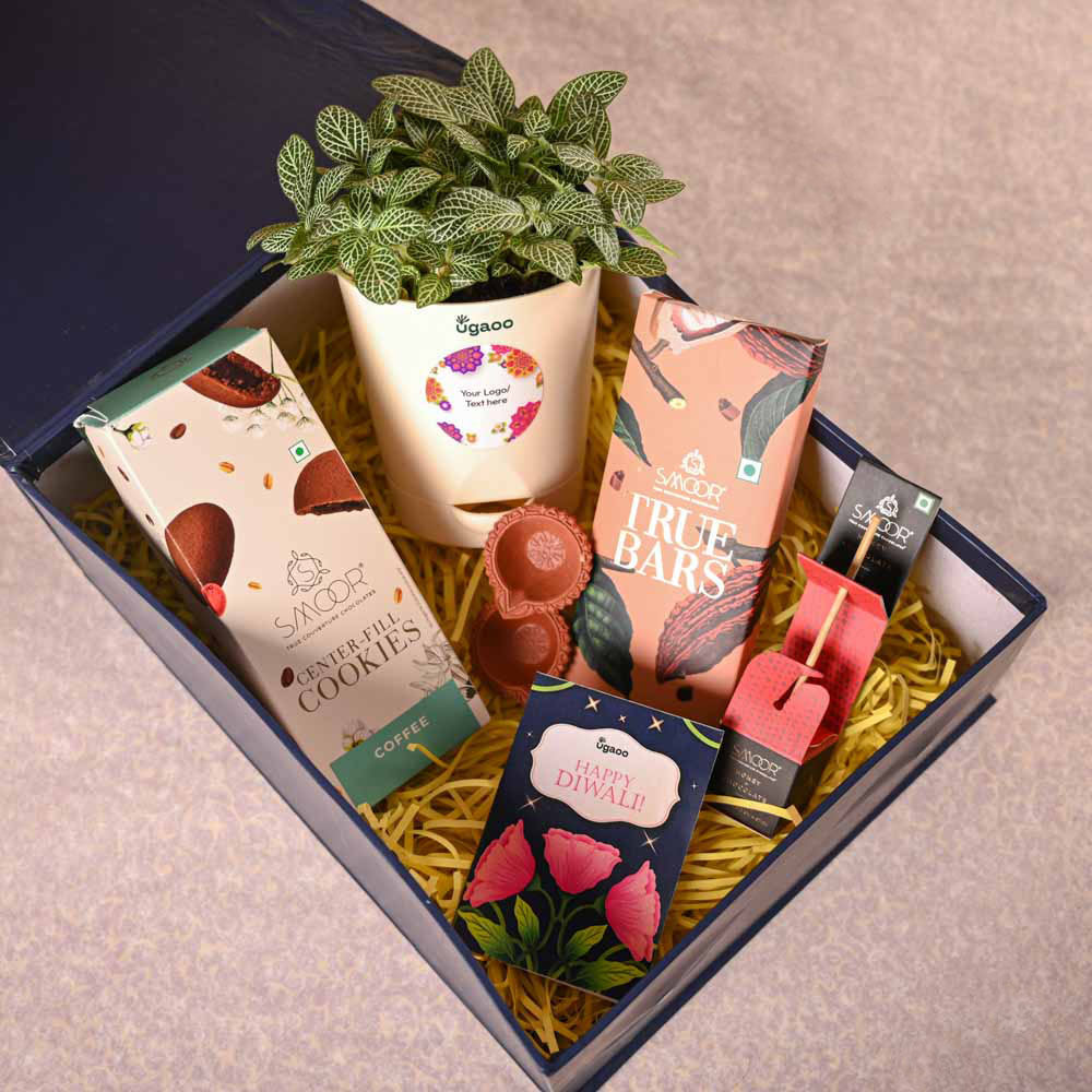 Fittonia Green Plant & Smoor Diwali Gift Hamper