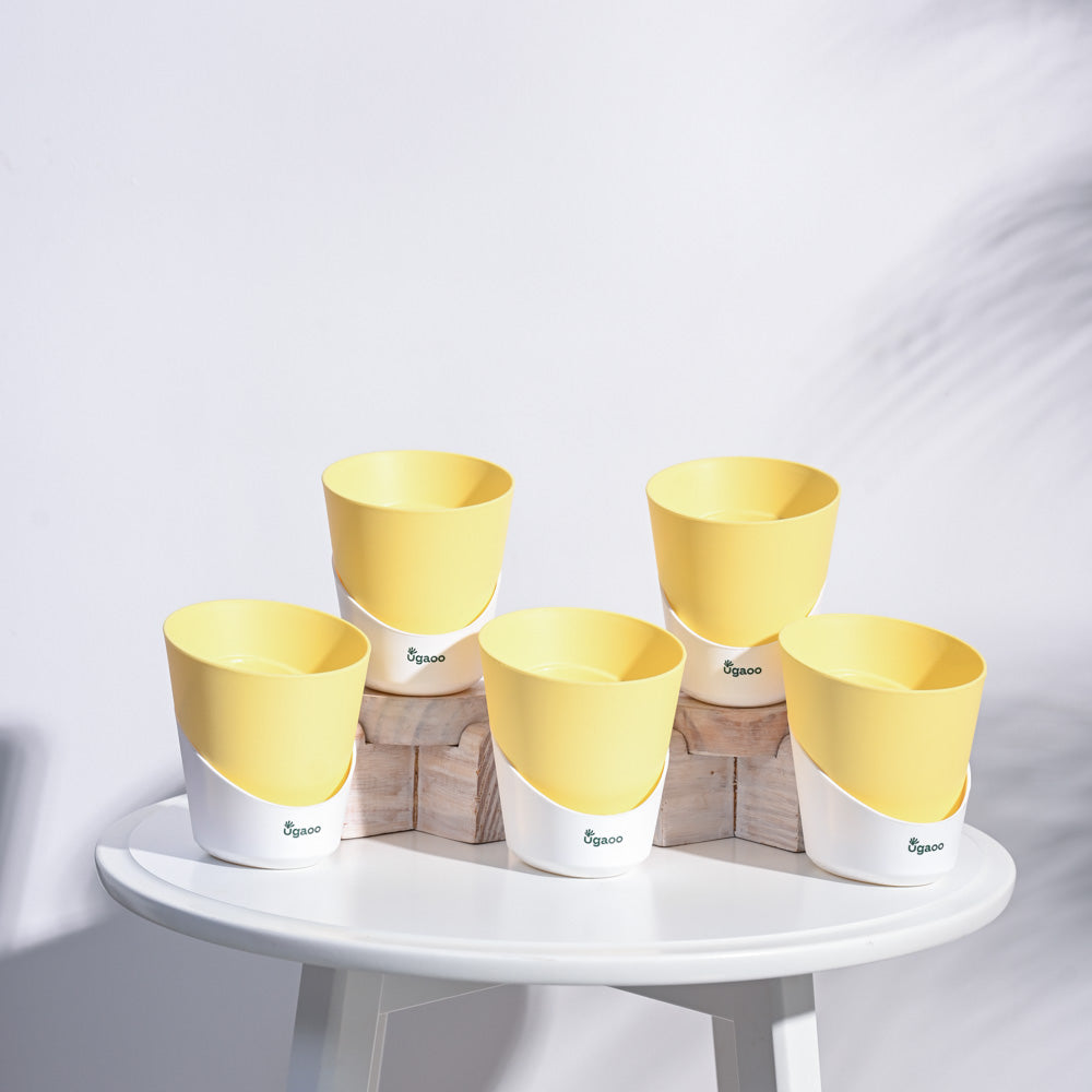 Atlantis Self Watering Planter - 4 Inch (Set of 5)