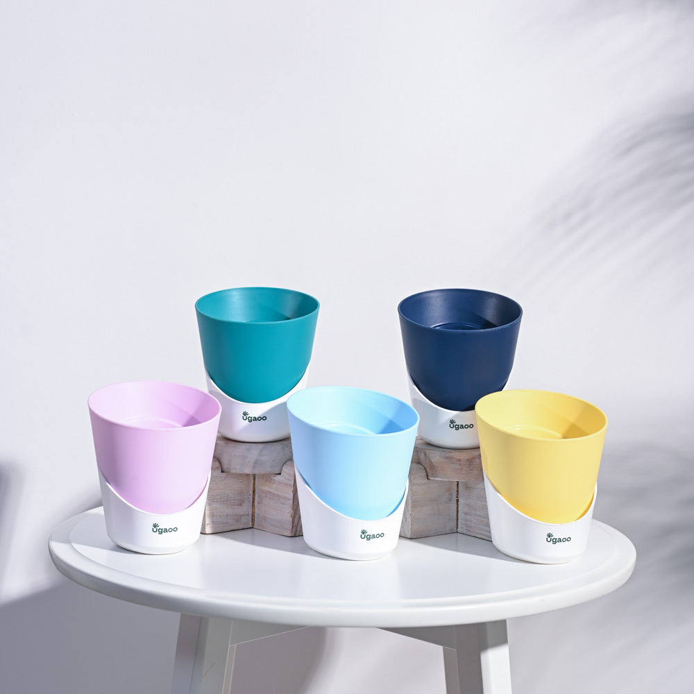 Atlantis Self Watering Planter - 4 Inch (Set of 5)