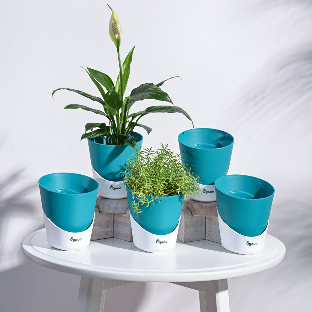Atlantis Self Watering Planter - 4 Inch (Set of 5)