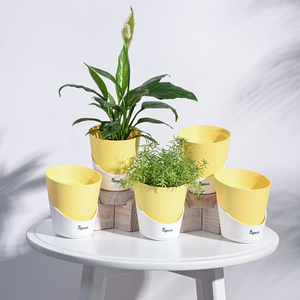 Atlantis Self Watering Planter - 4 Inch (Set of 5)