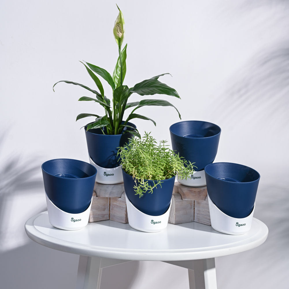 Atlantis Self Watering Planter - 4 Inch (Set of 5)