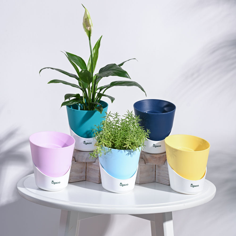Atlantis Self Watering Planter - 4 Inch (Set of 5)