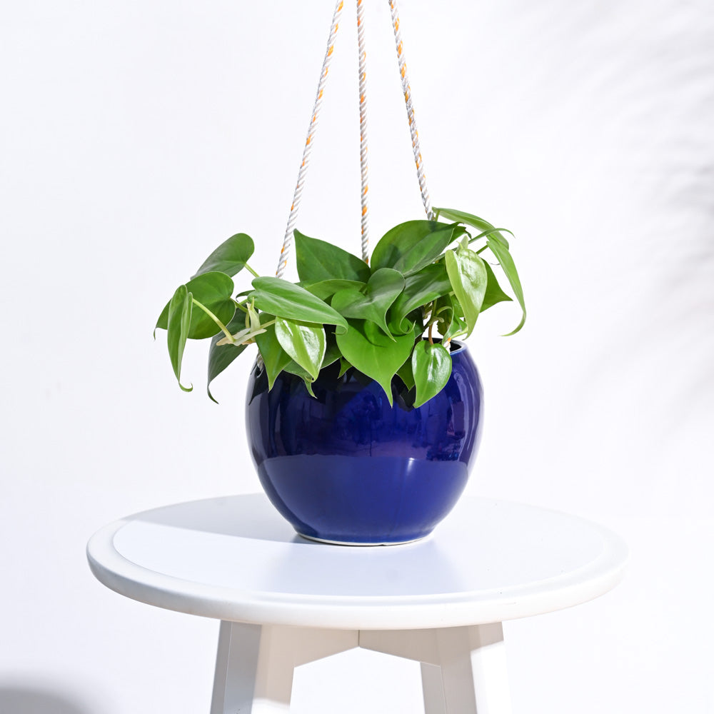 Forma Handmade Ceramic Planter