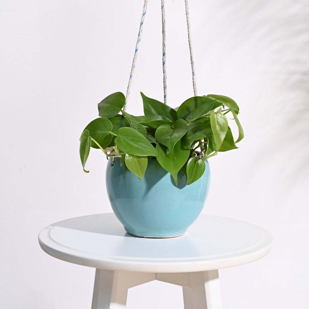 Forma Handmade Ceramic Planter