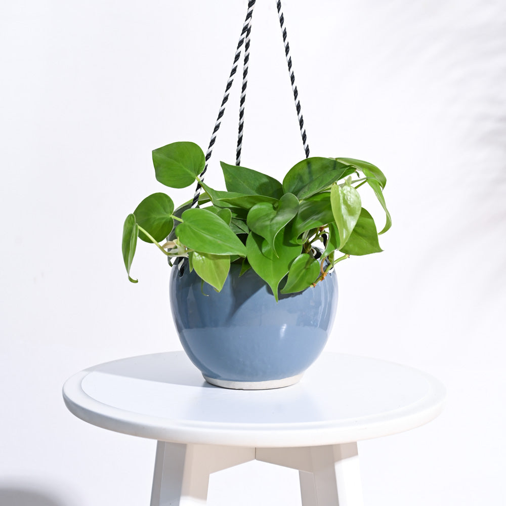 Forma Handmade Ceramic Planter