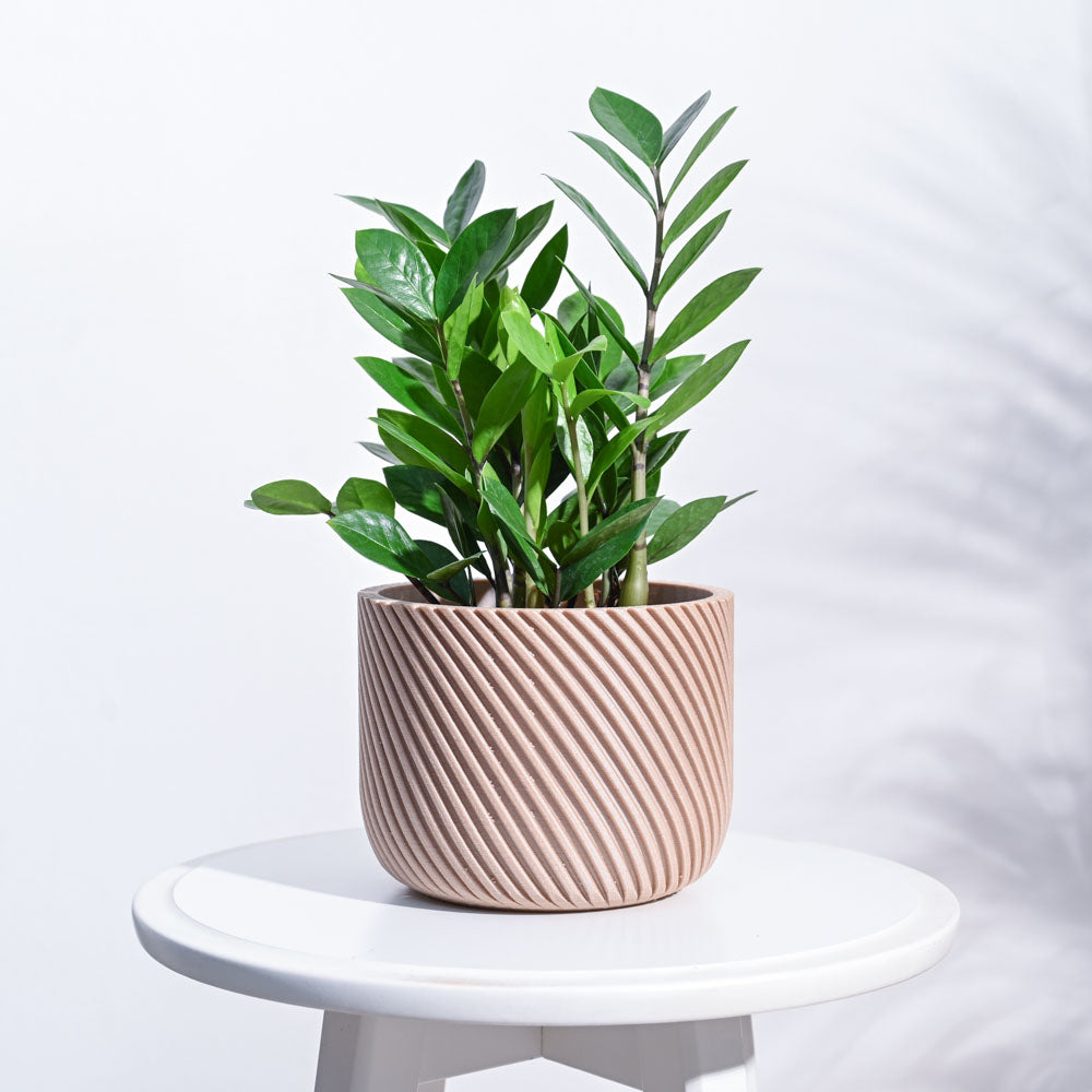 Oblique Elegance Wooden Pot