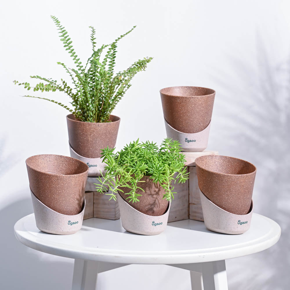 Atlantis Self Watering Planter - 4 Inch (Set of 5)
