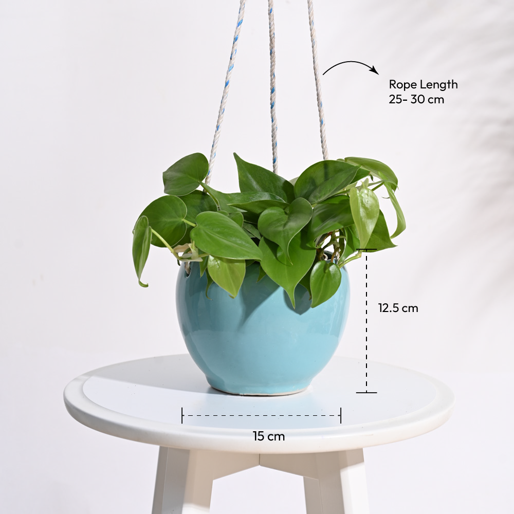 Forma Handmade Ceramic Planter