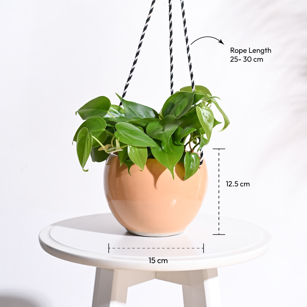 Forma Handmade Ceramic Planter