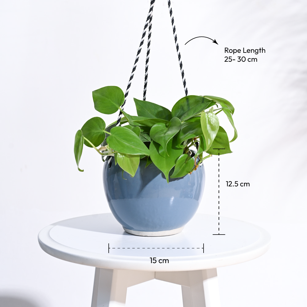 Forma Handmade Ceramic Planter