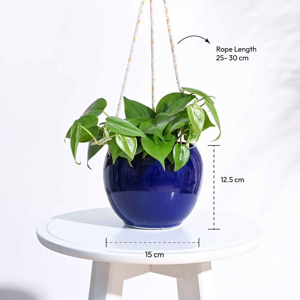 Forma Handmade Ceramic Planter