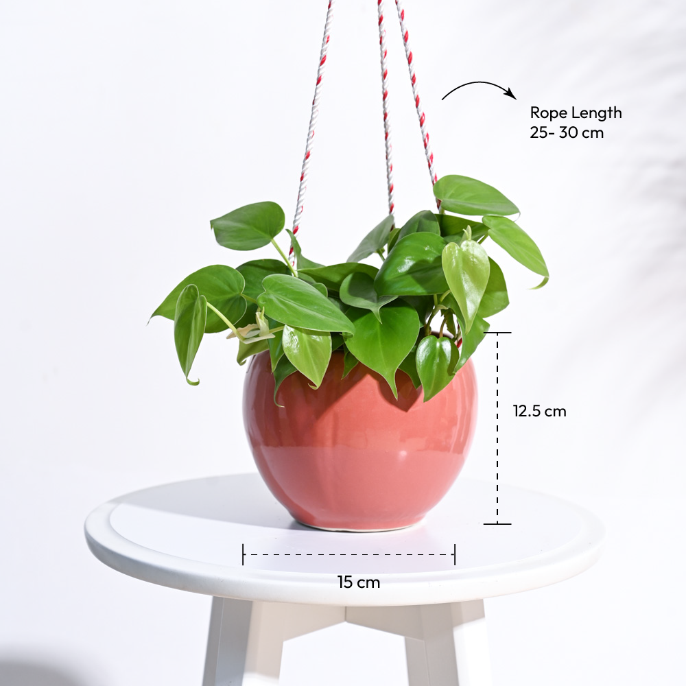 Forma Handmade Ceramic Planter