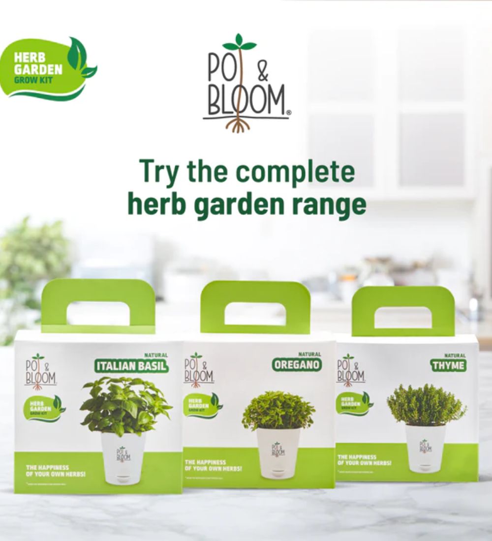 Italian Basil Grow Kit