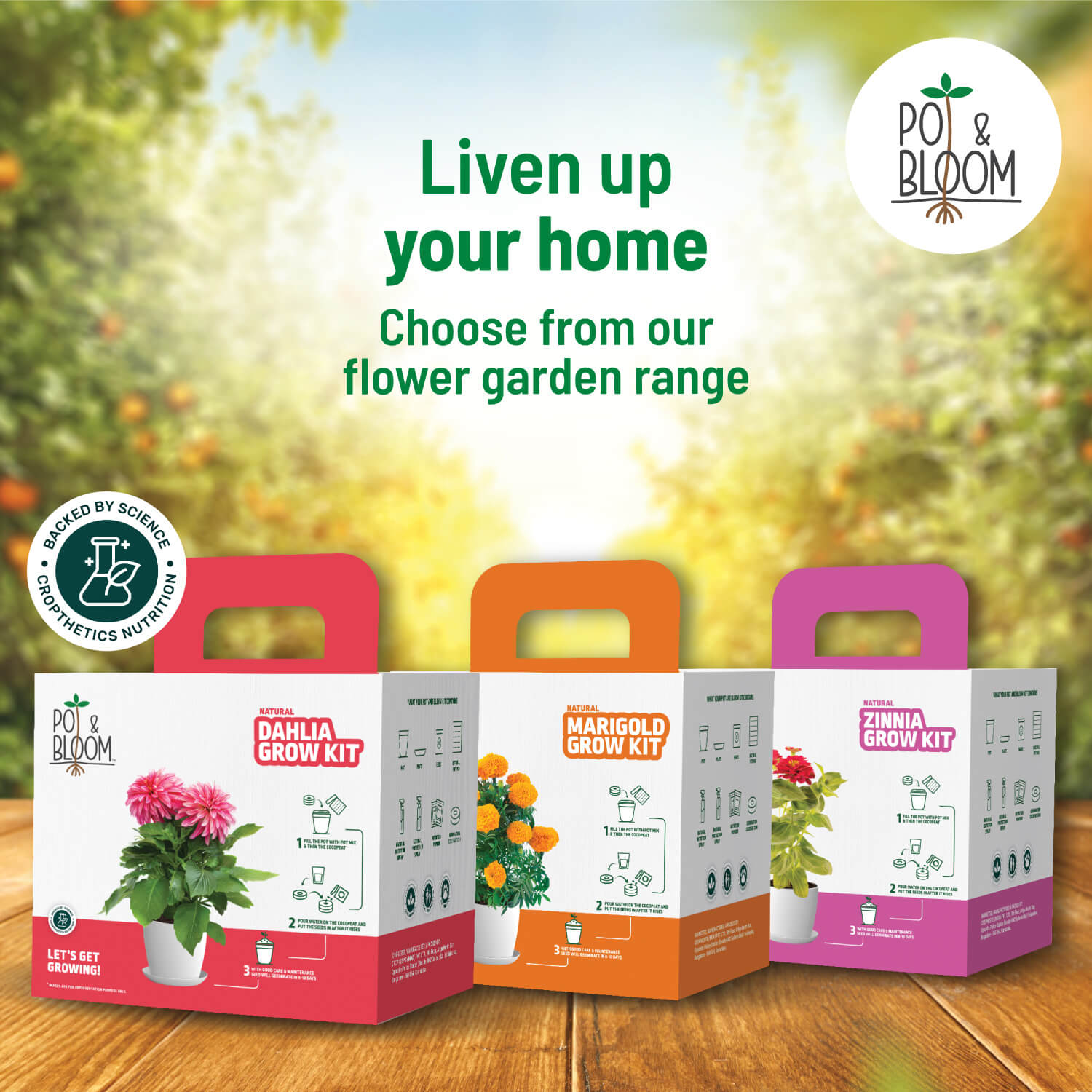 Capsicum Grow Kit