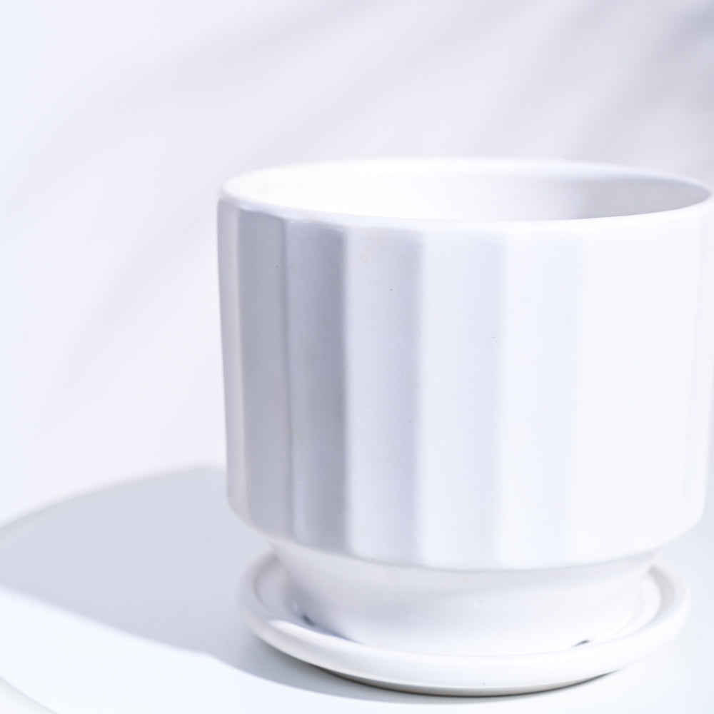 Frosted Ceramic Pot