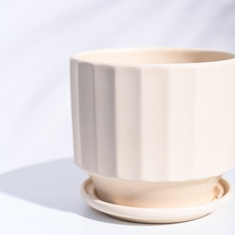 Frosted Ceramic Pot