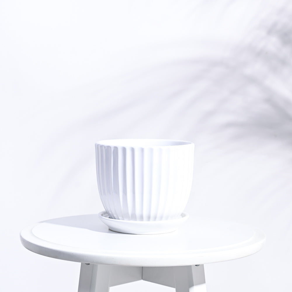 Grail Ceramic Pot
