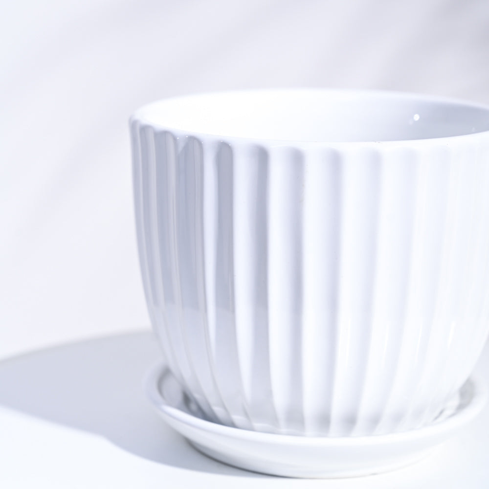 Grail Ceramic Pot