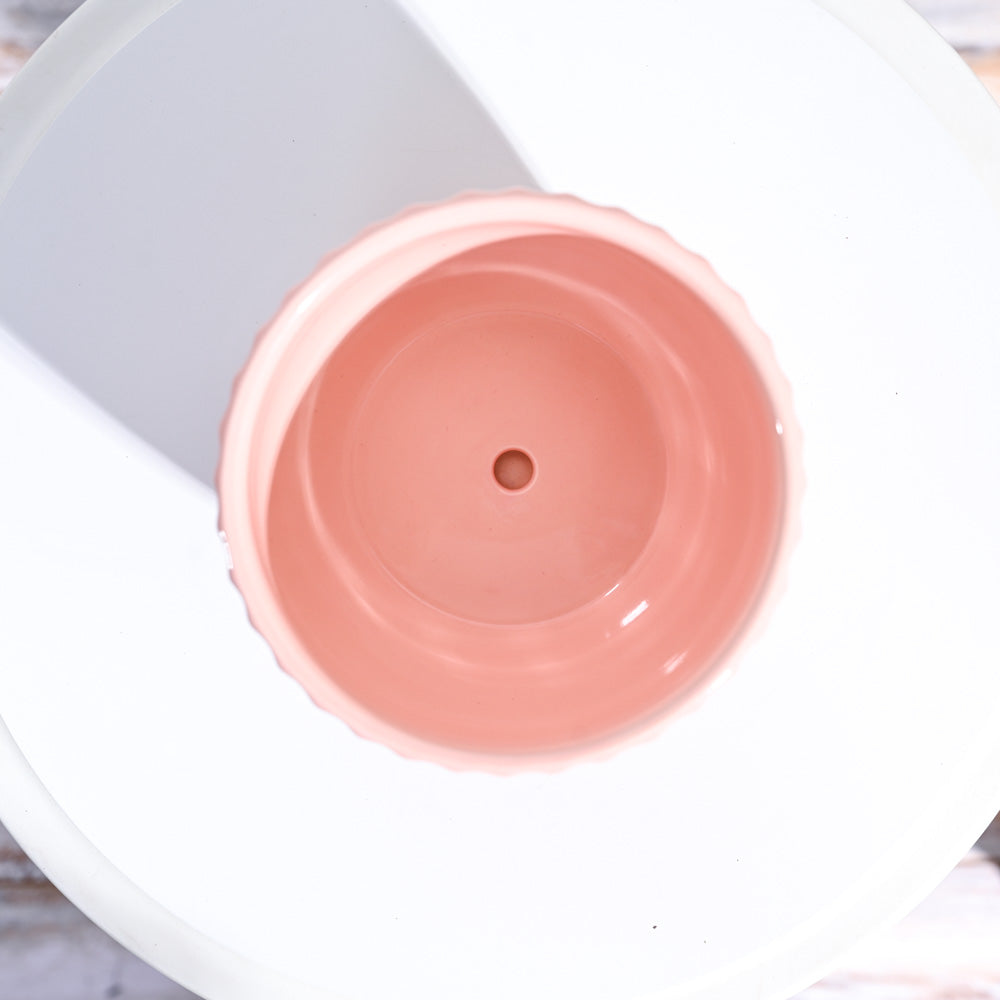 Grail Ceramic Pot