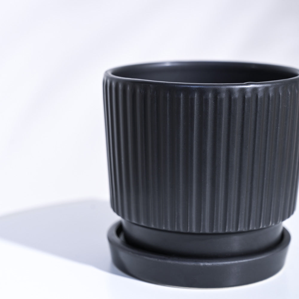 Roma Ceramic Pot