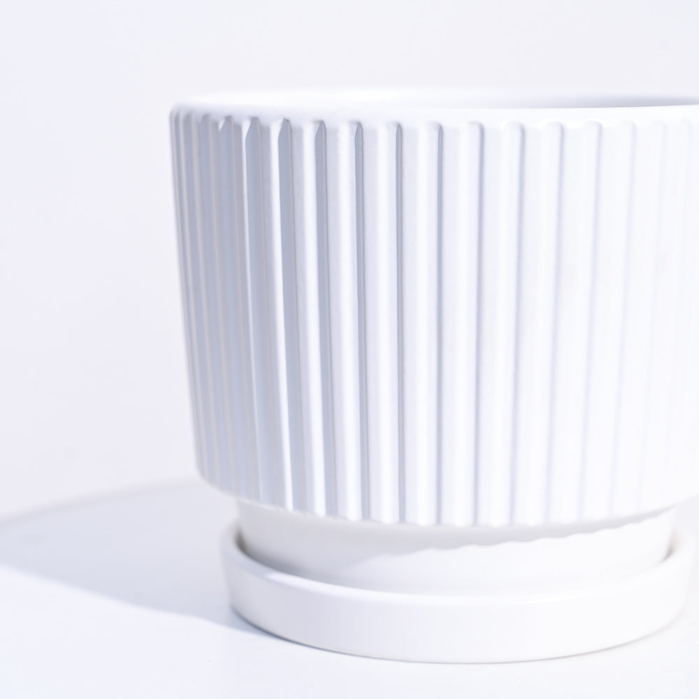 Roma Ceramic Pot