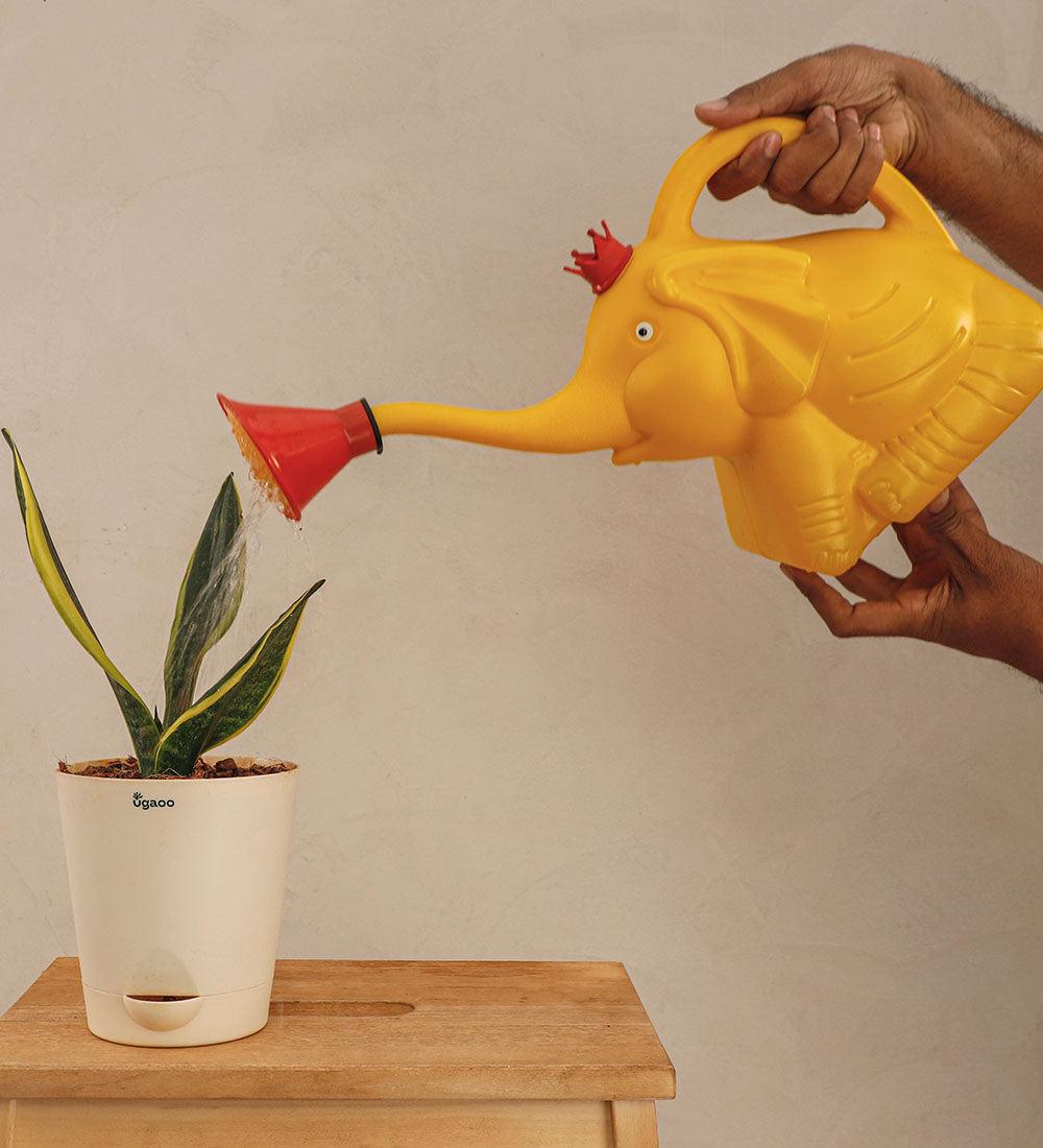 Elephant Shape Watering Can 3 Litre