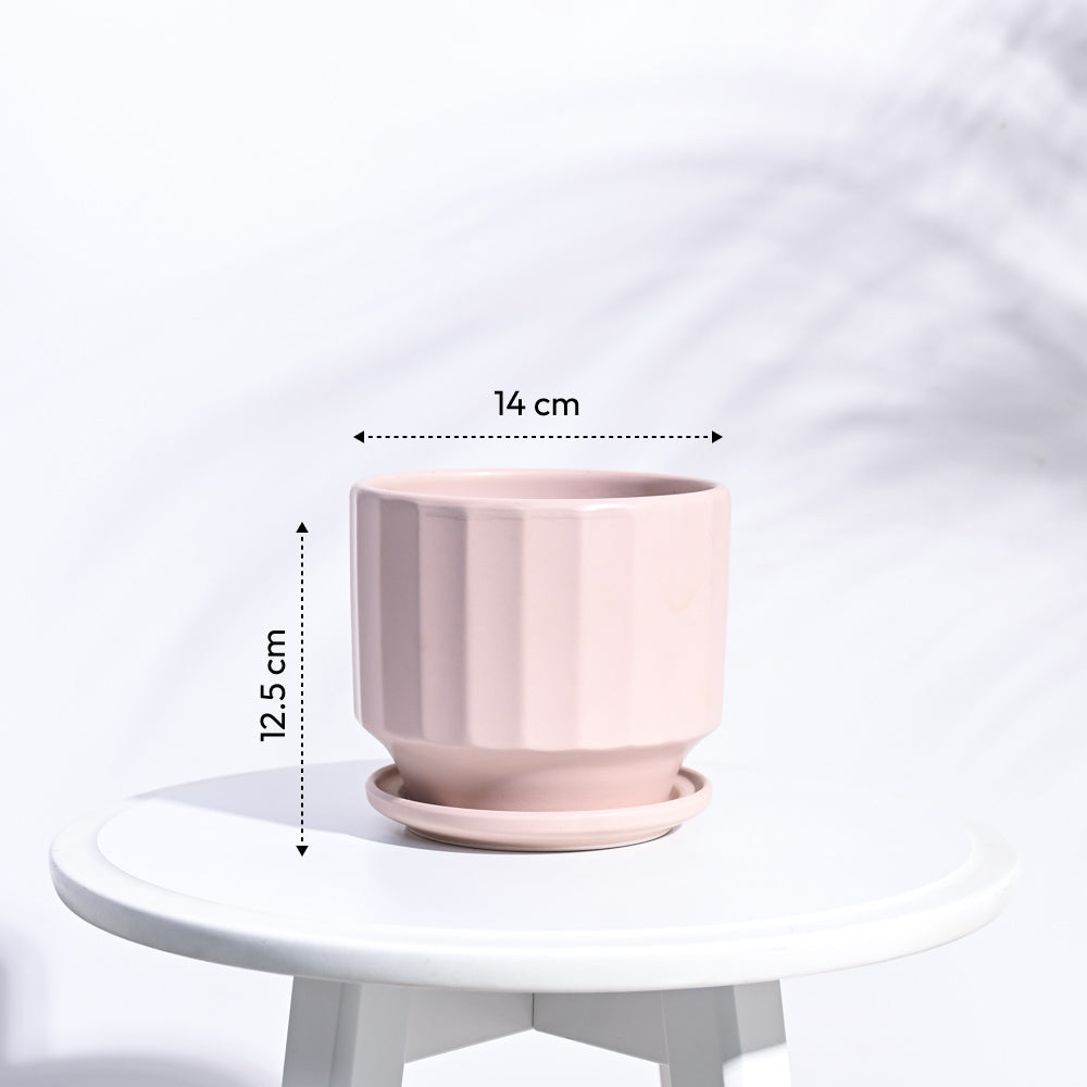 Frosted Ceramic Pot