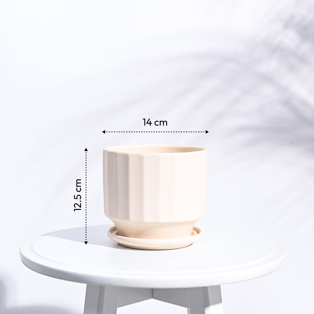 Frosted Ceramic Pot