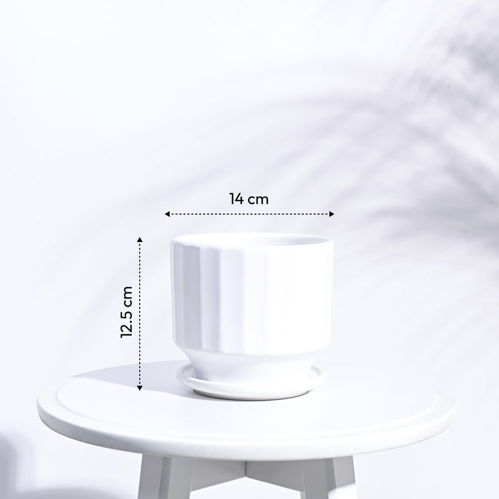 Frosted Ceramic Pot