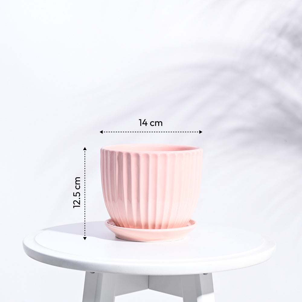Grail Ceramic Pot