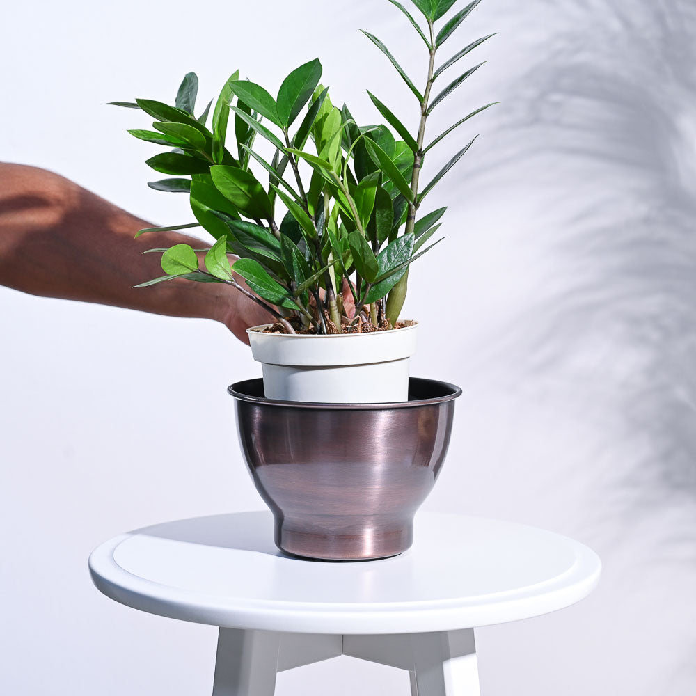 Gunmetal Goblet Planter