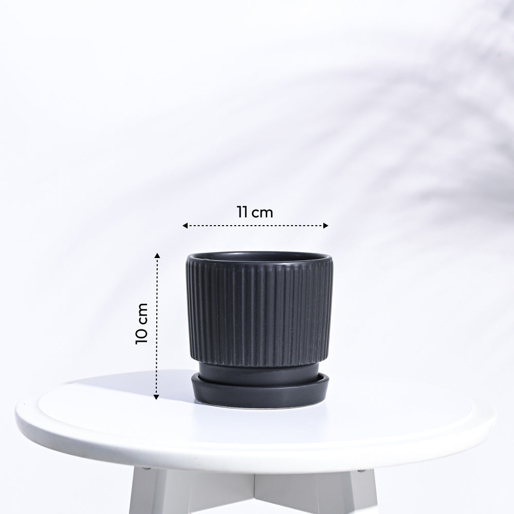 Roma Ceramic Pot