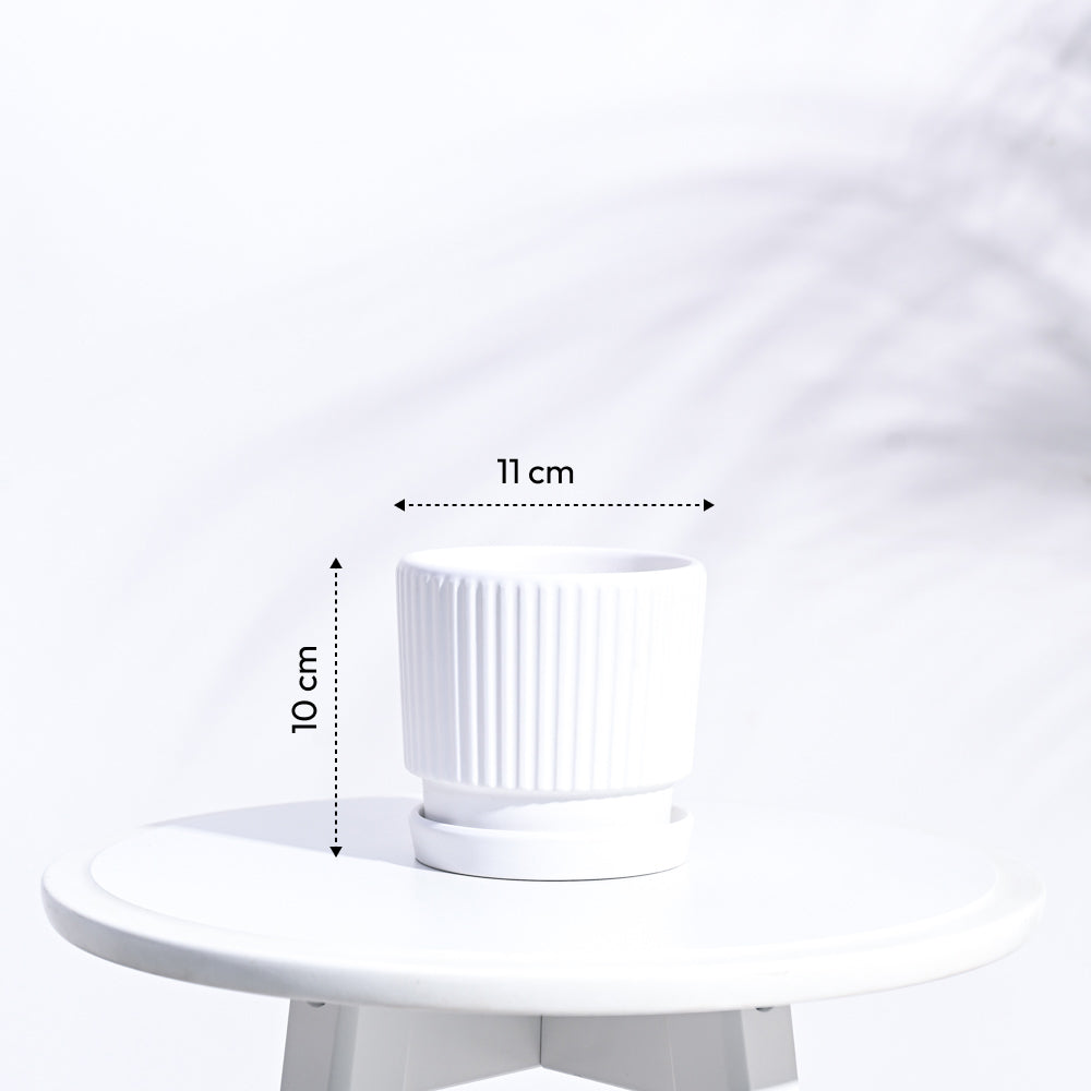 Roma Ceramic Pot