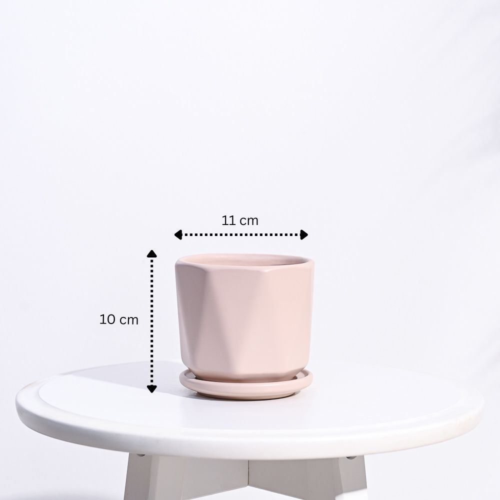 Diamond Ceramic Pot