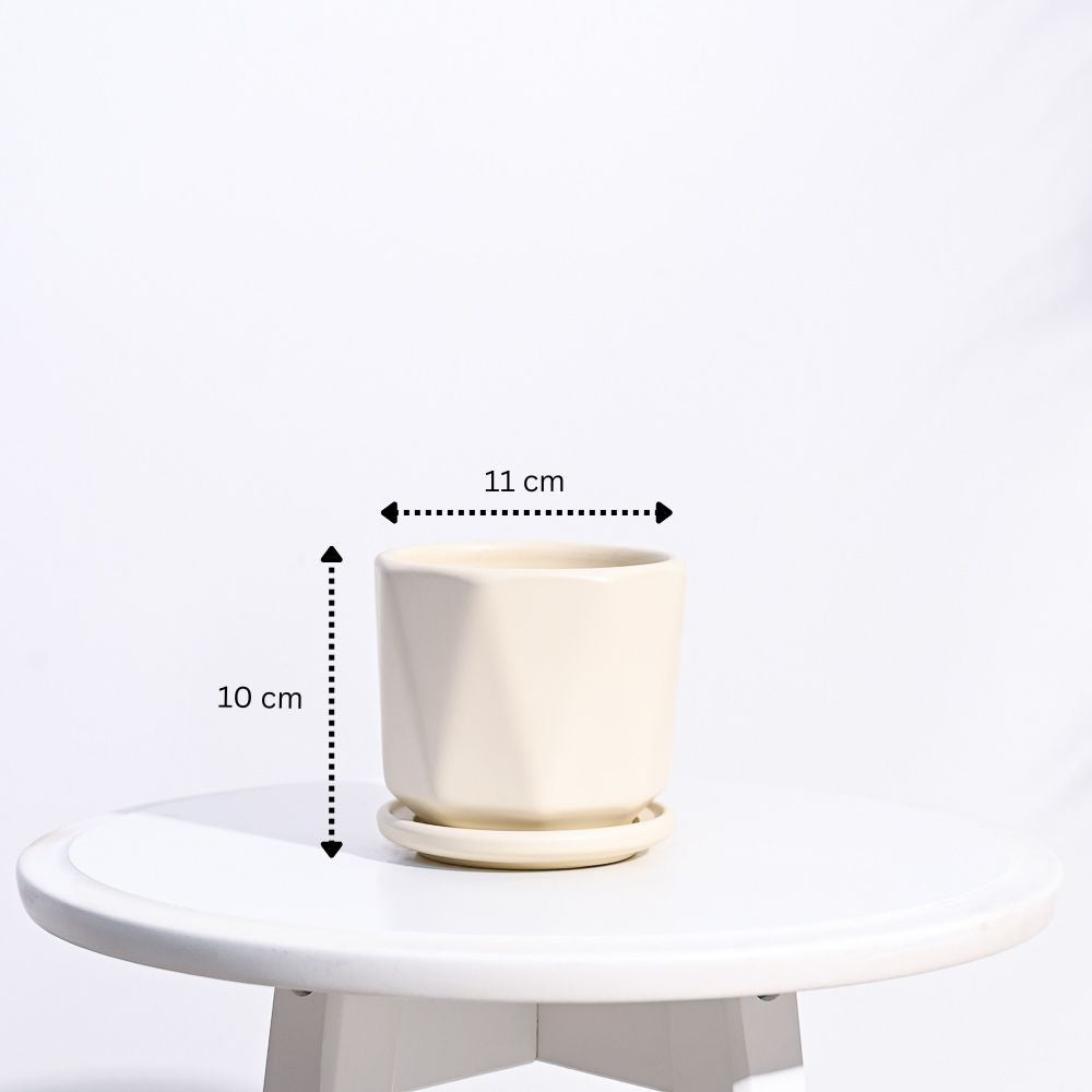 Diamond Ceramic Pot