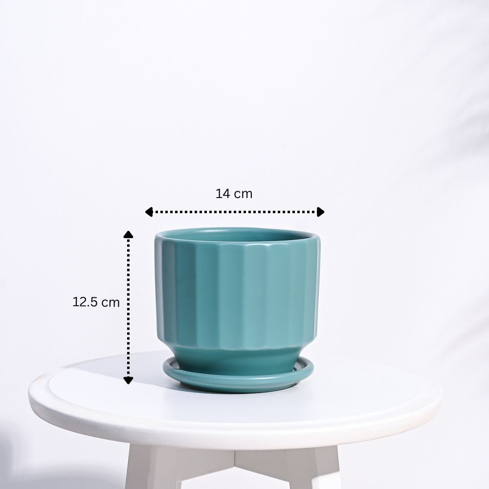 Frosted Ceramic Pot