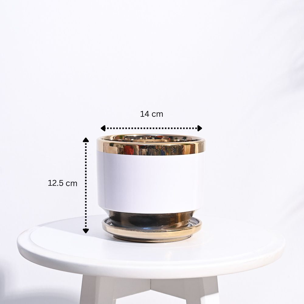 Aurelius Round Ceramic Pot