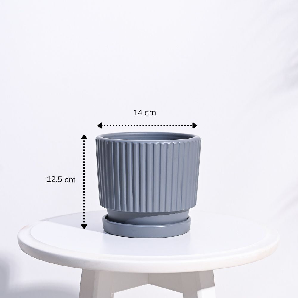 Roma Ceramic Pot