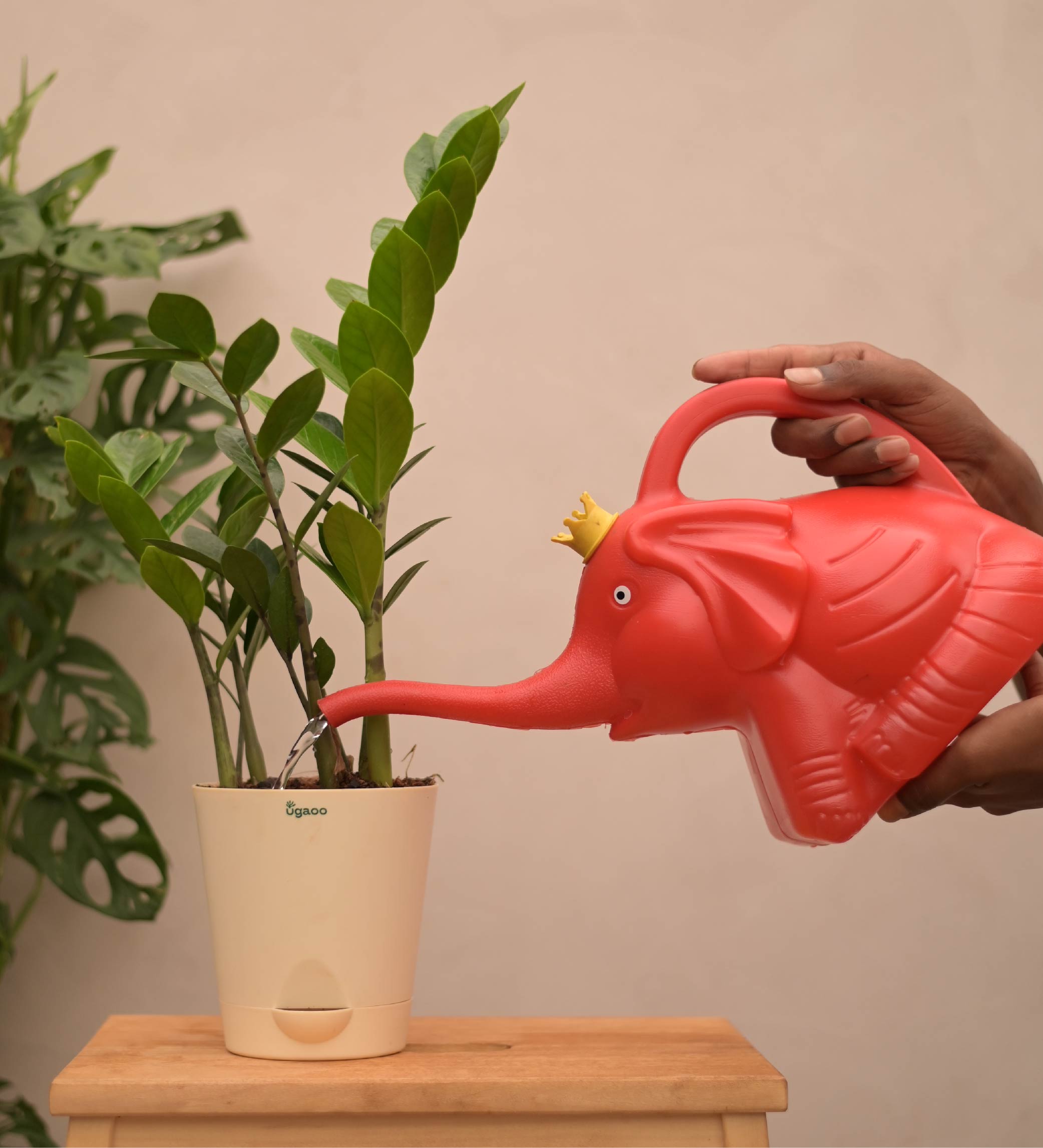 Elephant Shape Watering Can 3 Litre