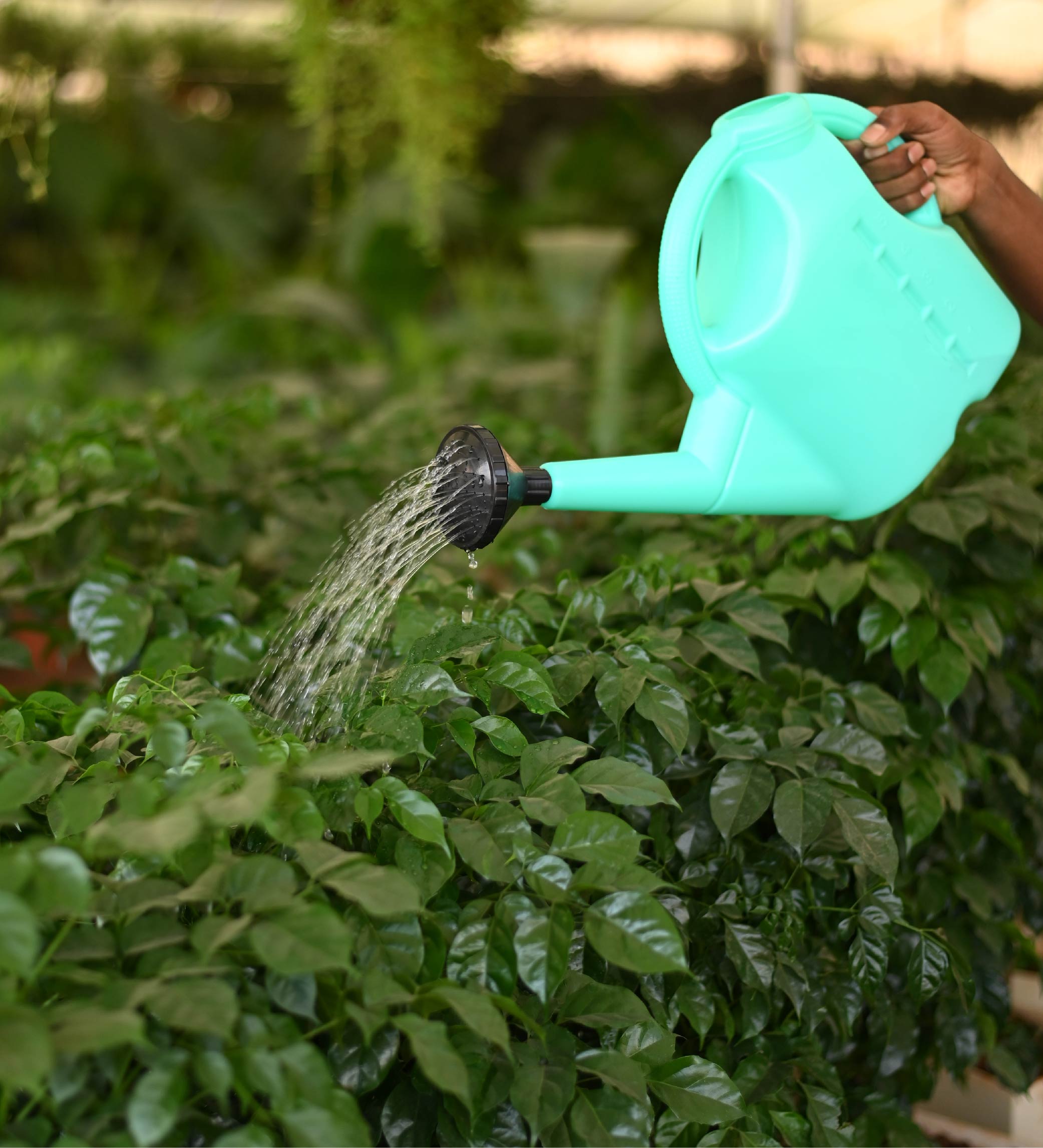 Gardeners Watering Can 5 Litre