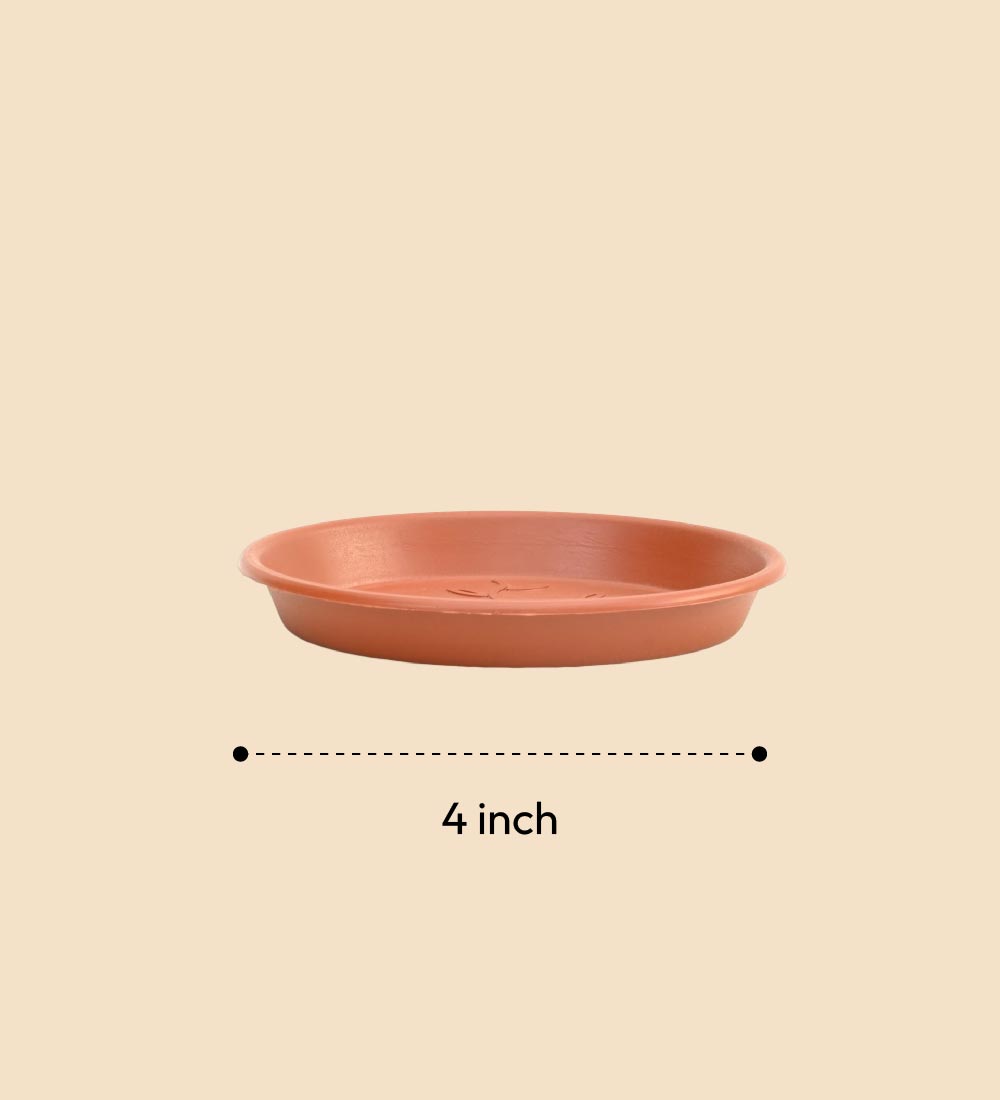 Gardening Plates - Terracotta Color