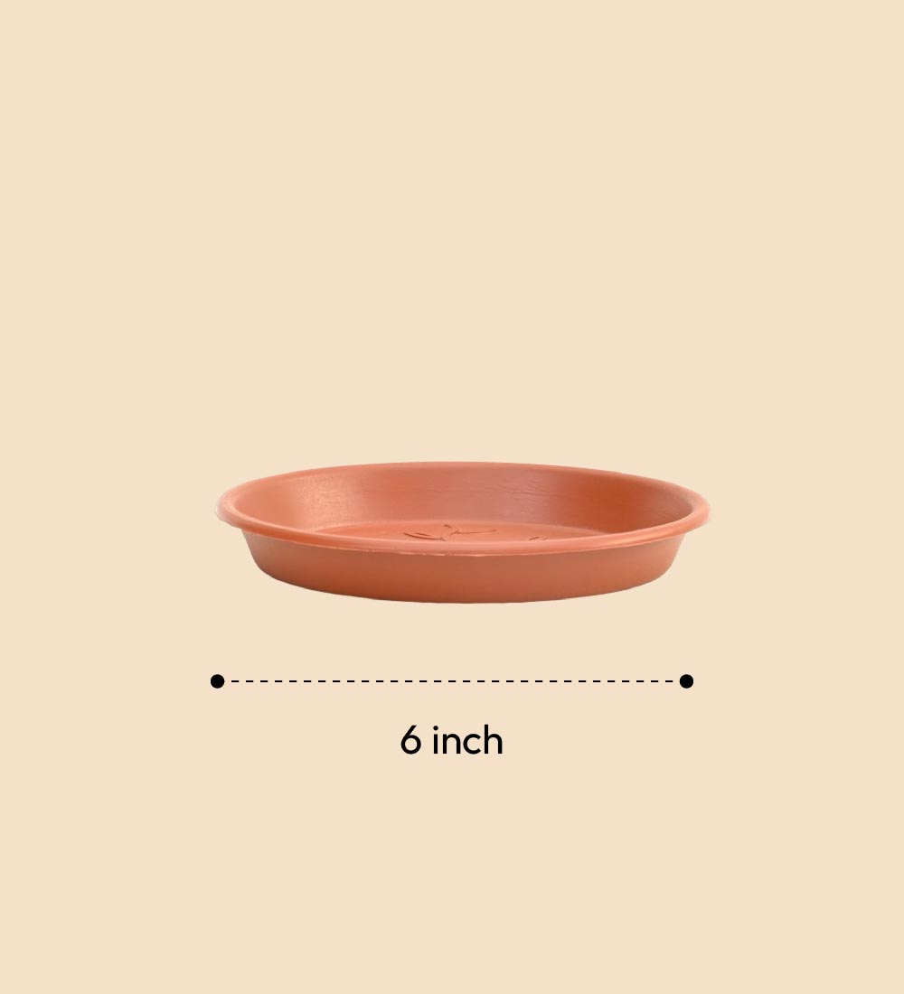 Gardening Plates - Terracotta Color