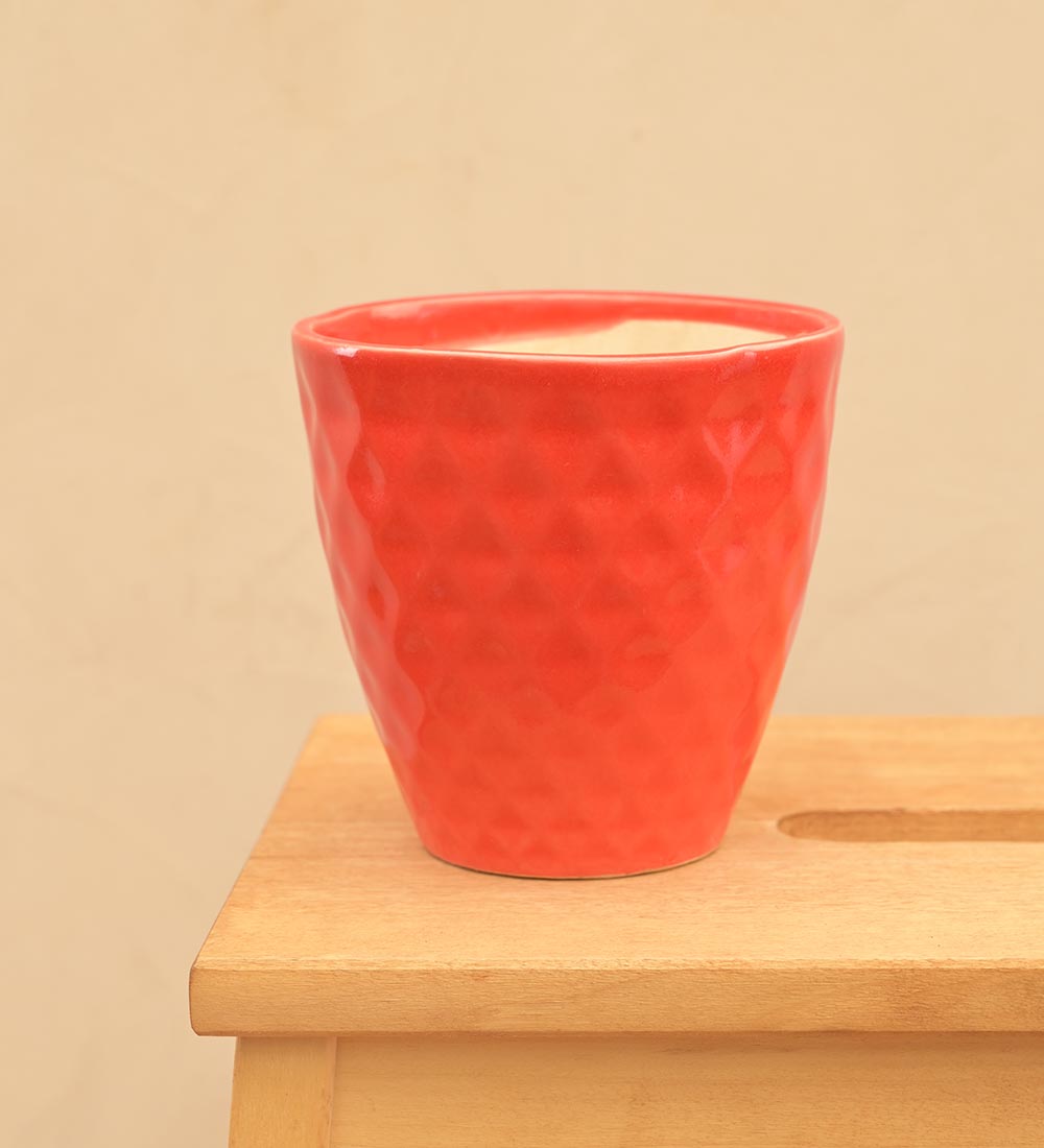 Firecracker Ceramic Planter
