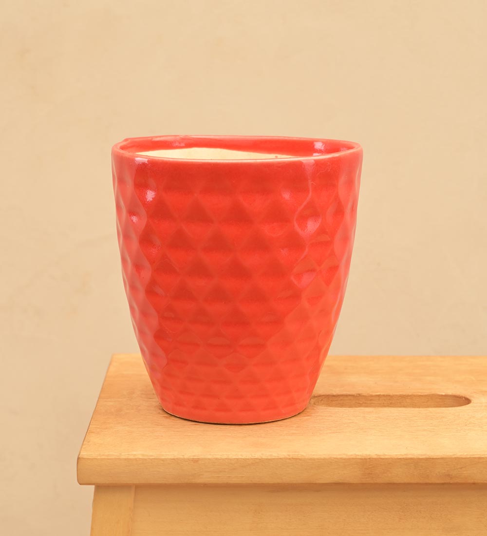 Firecracker Ceramic Planter