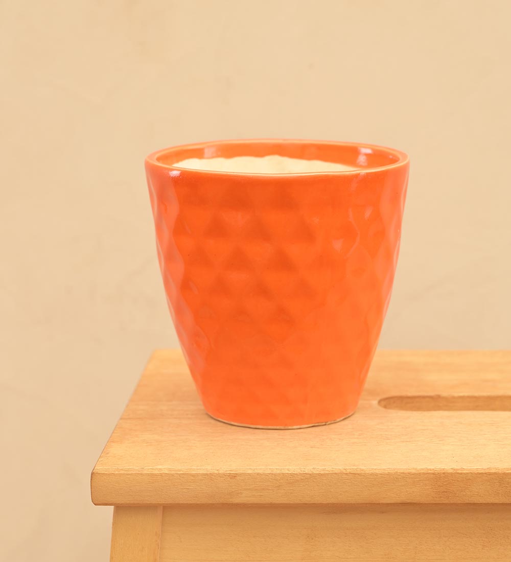 Firecracker Ceramic Planter